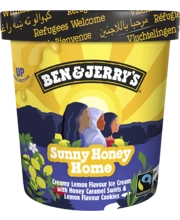 Ben & Jerry's Sunny Honey Home 465ml