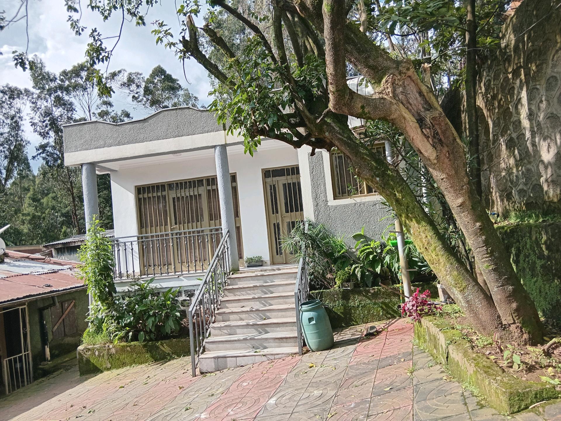 Spacious 500 sqm Multi-Purpose House for Rent in Addis Ababa