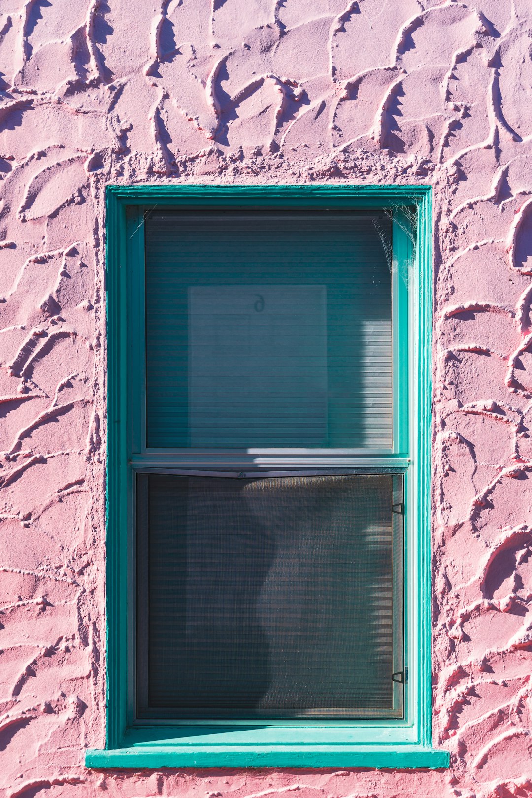 Tailored Tinting for Conference Rooms and Meeting Areas