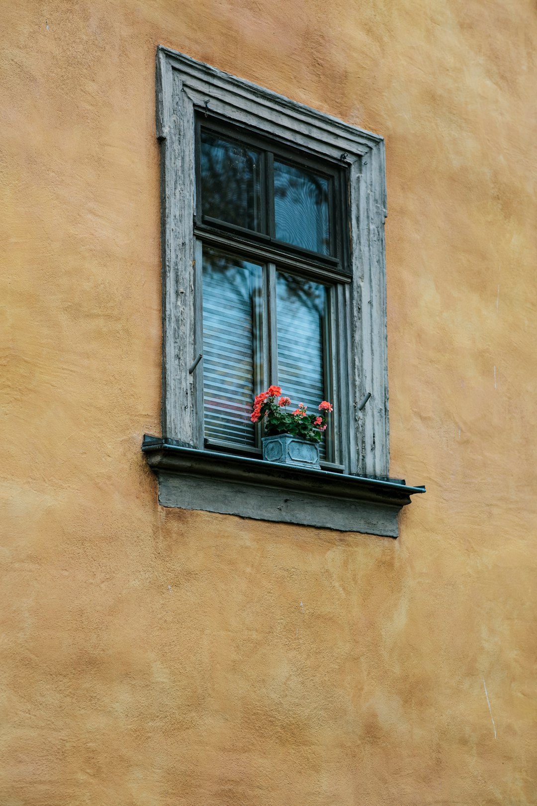 Meeting Local Tinting Regulations for Businesses