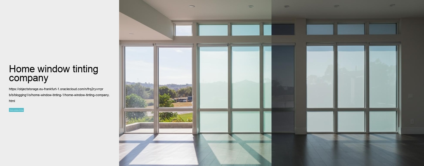 home window tinting company