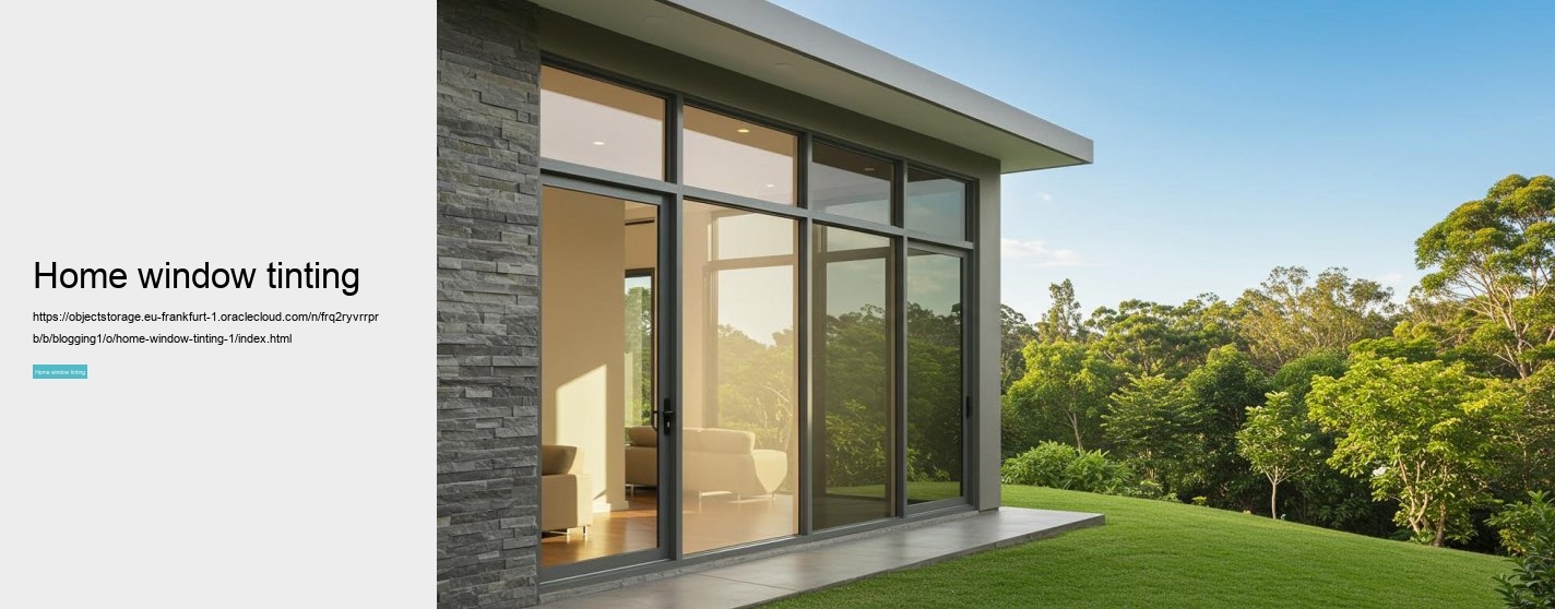 Home window tinting