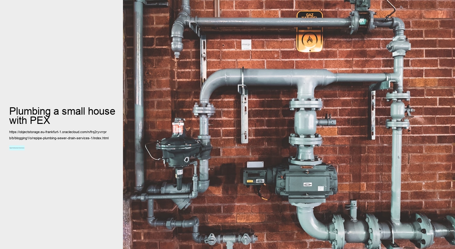 plumbing a small house with PEX