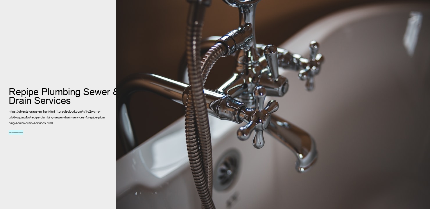 Repipe Plumbing Sewer & Drain Services