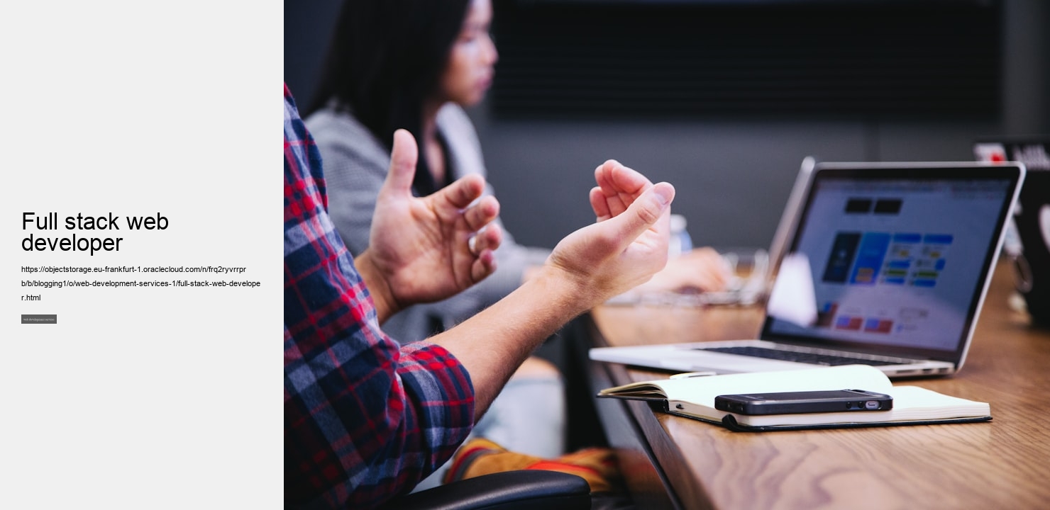 Full stack web developer