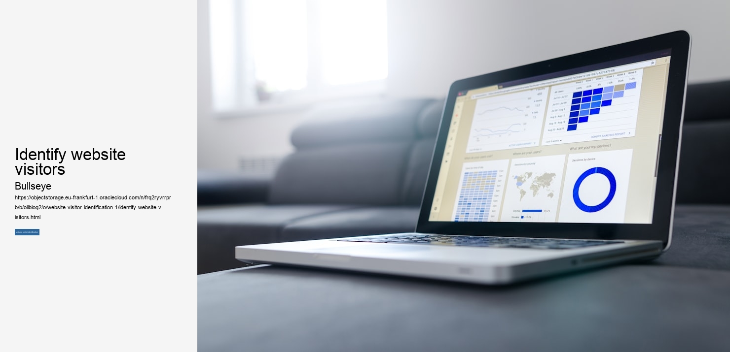 identify website visitors