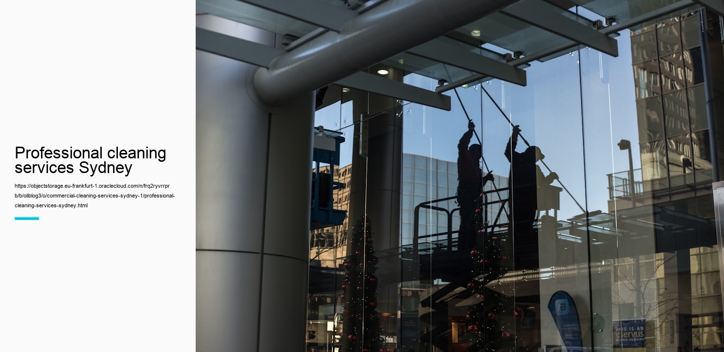 professional cleaning services Sydney