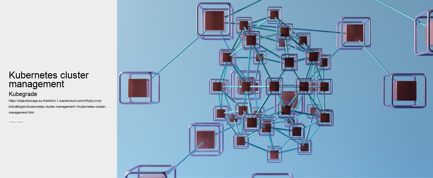 Kubernetes cluster management