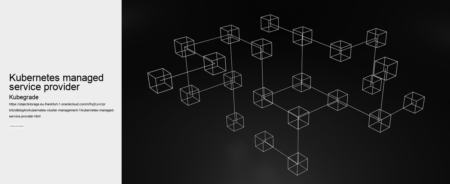 kubernetes managed service provider