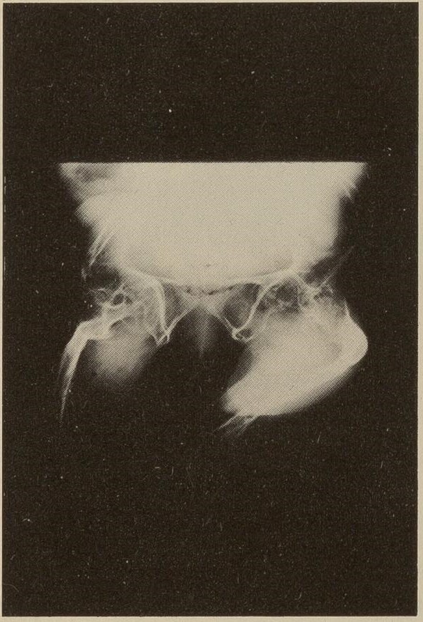 Kommende OI-Veranstaltungen 2026