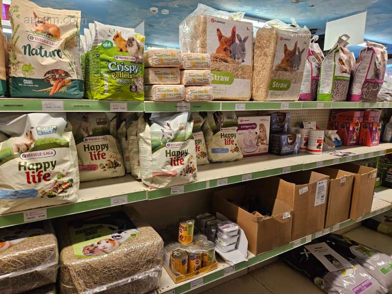 There are Specific Lots for Everyone Lot Page