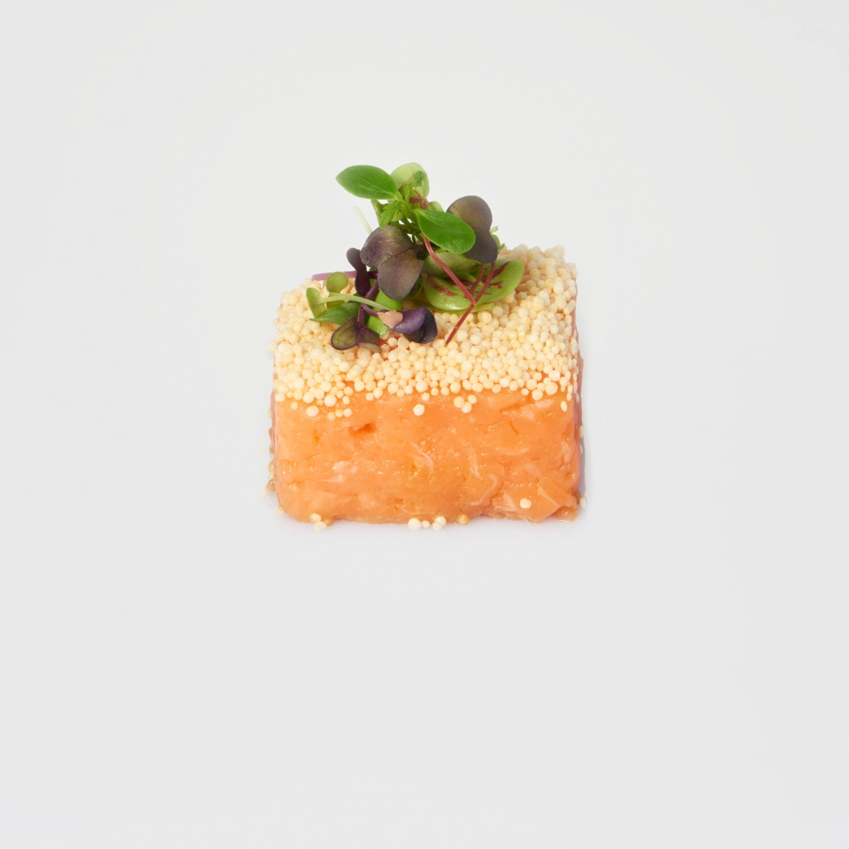 Tartare di salmone