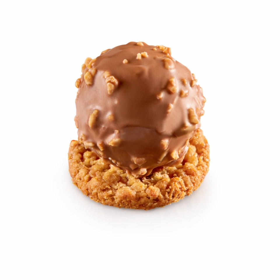 Rocher